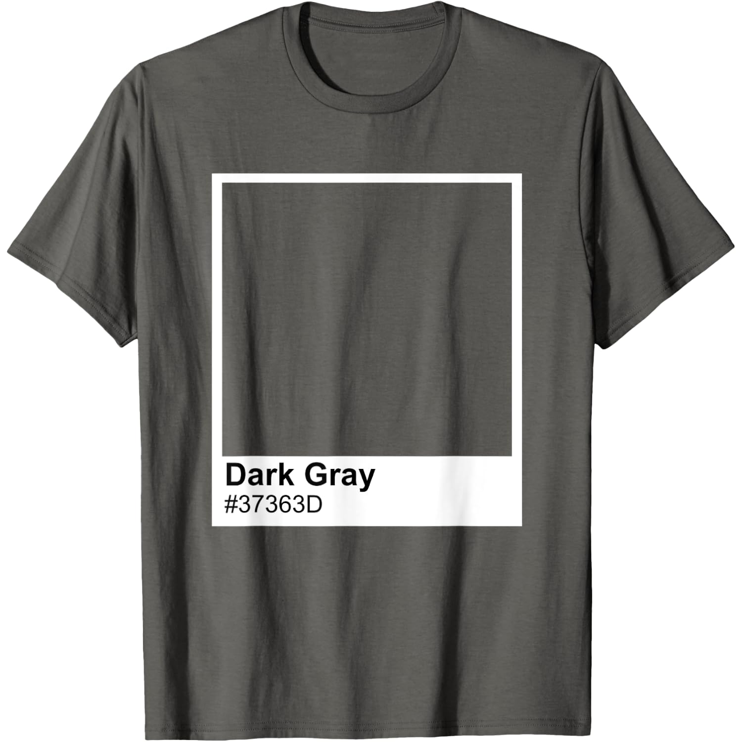 Dark Gray Color Paint Swatch Funny Simple Costume T-Shirt