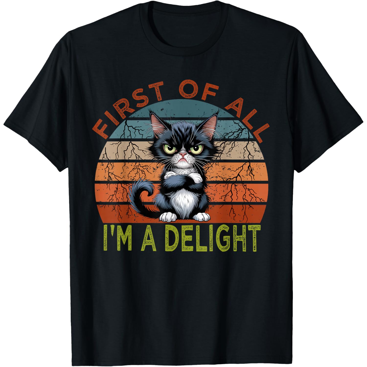 First of all I'm a Delight Sarcastic Angry Cat Lover T-Shirt