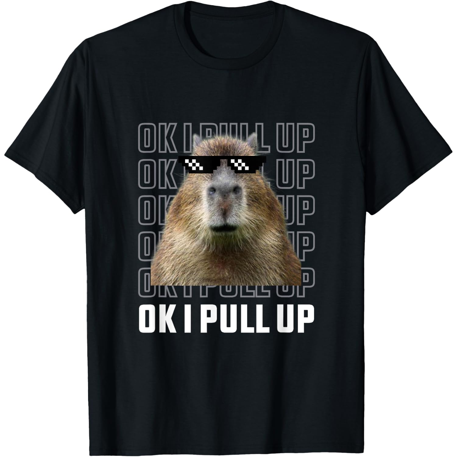 Ok I Pull Up Capybara Tee - Unisex Adult - Black - Small - Short Sleeve - Classic Fit - Halloween - Modern Funny Tee