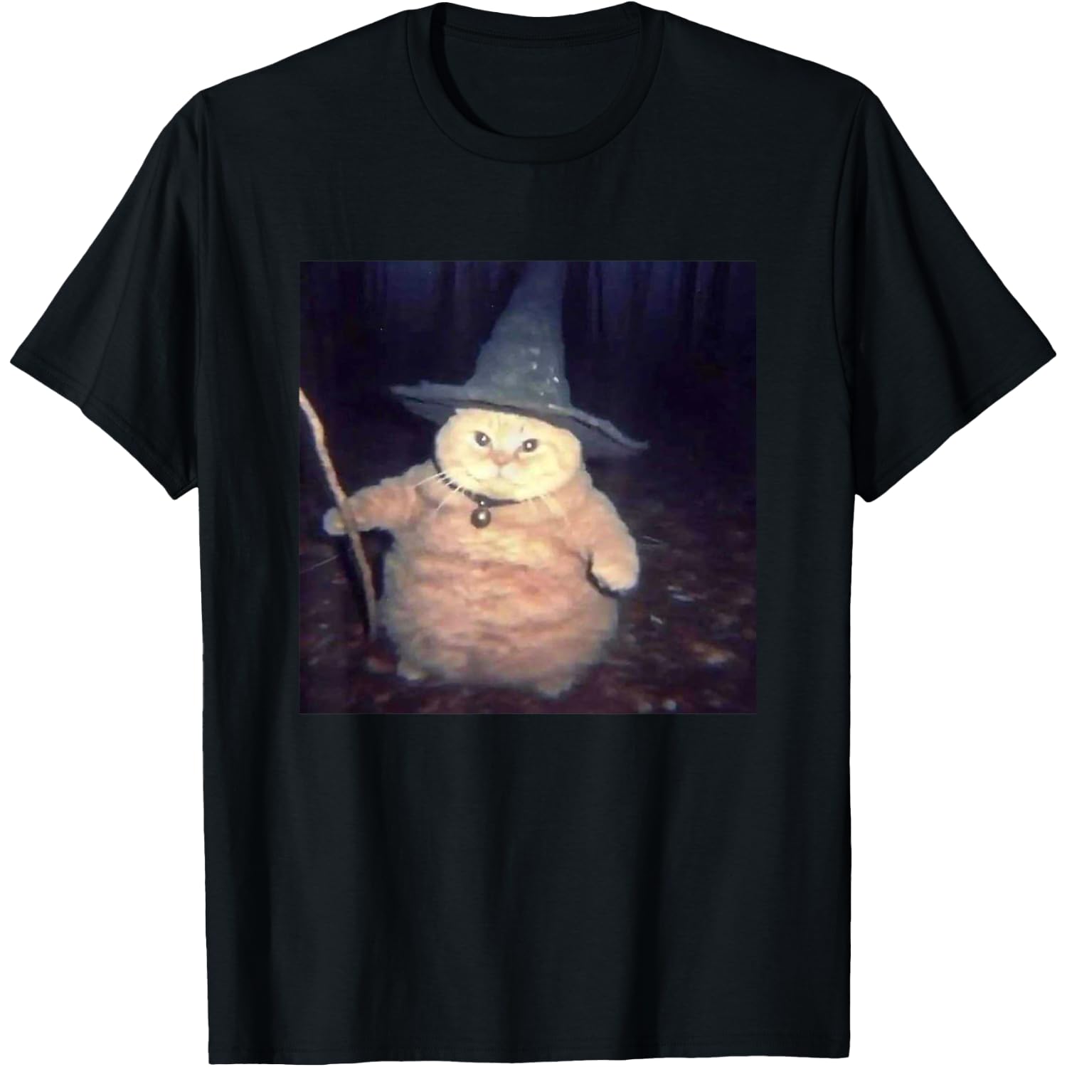 Vintage Witch Cat Peekaboo Halloween Funny Cat Meme Weird T-Shirt