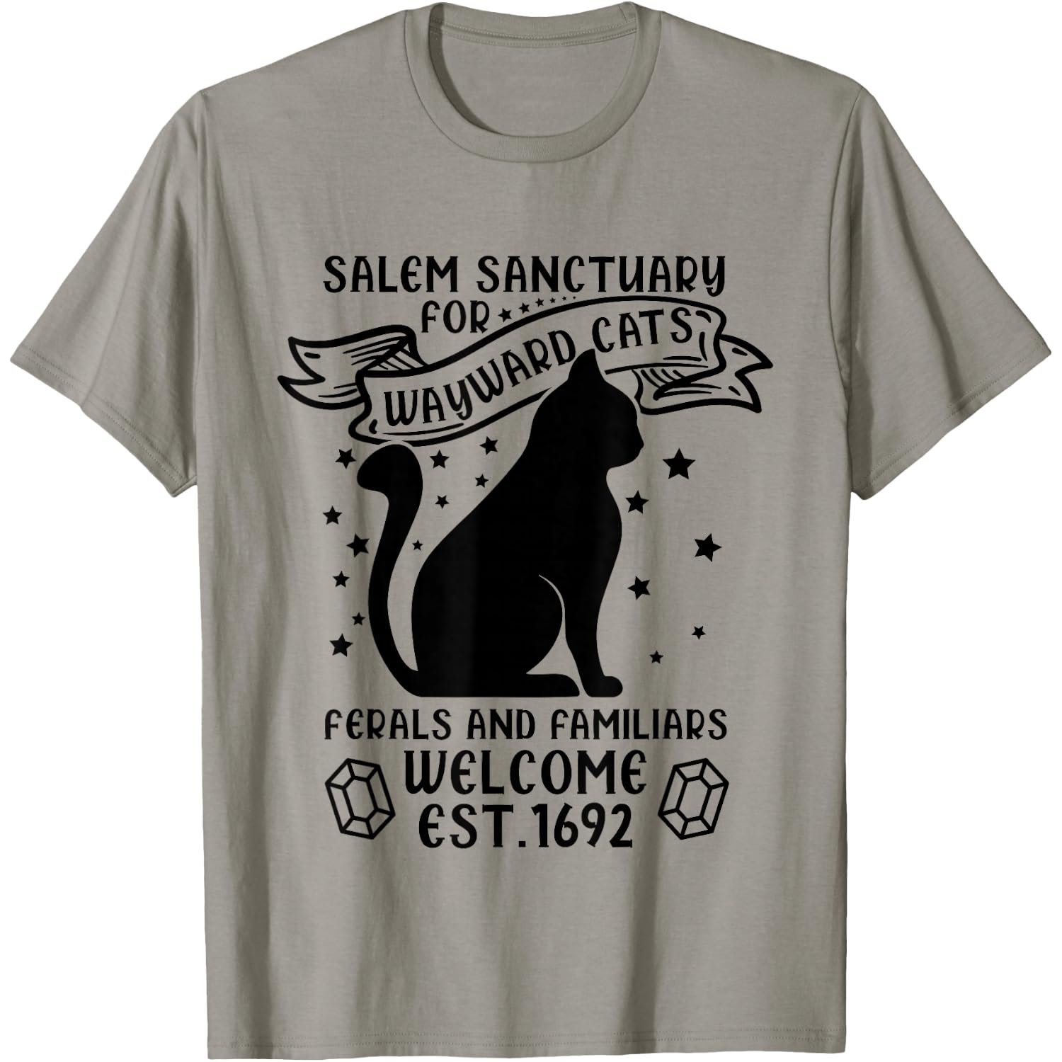 Witch Salem Sanctuary For Wayward Black Cats 1692 T-Shirt