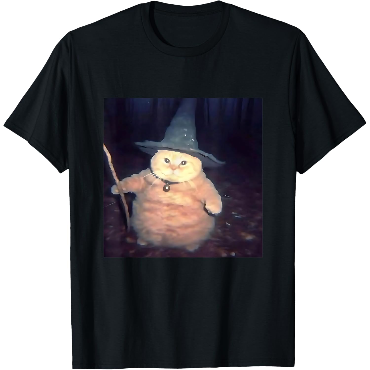 Wizard Cat Weird Funny Halloween Cat Meme T-Shirt